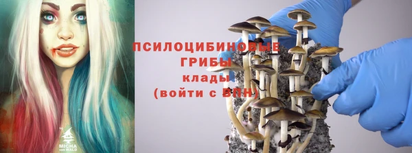 индика Иннополис