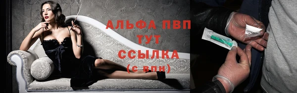 индика Иннополис