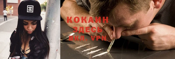 индика Иннополис