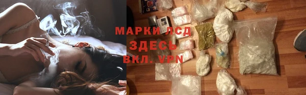 индика Иннополис