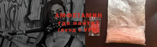 индика Иннополис