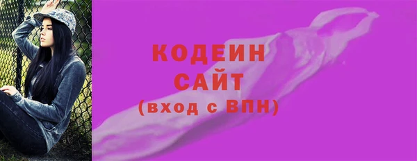 индика Иннополис