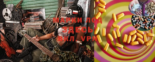 индика Иннополис