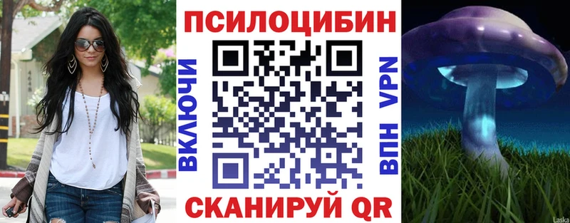 Псилоцибиновые грибы Cubensis  Купить закладки  Вытегра 